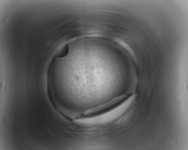 X0000088901467200706151839