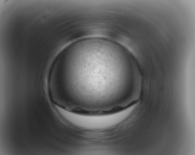 X0000088901468200706151839