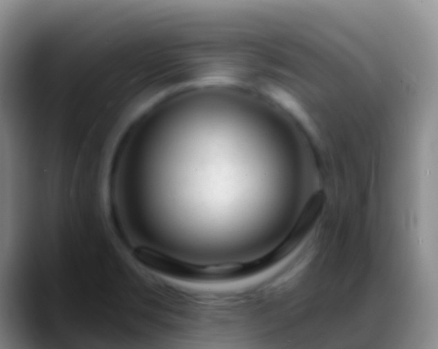 X0000088901469200706151839
