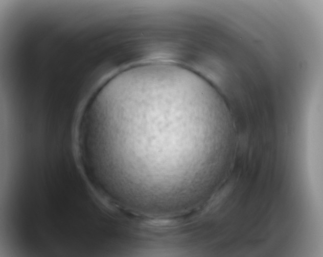 X0000088901470200706151839