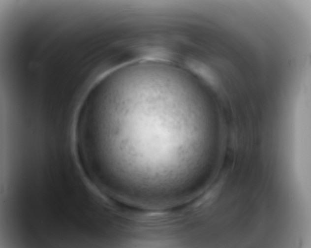 X0000088901471200706151839