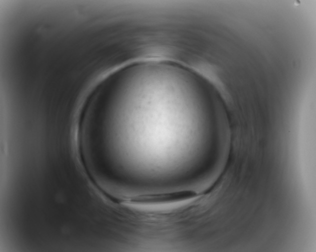 X0000088901472200706151839