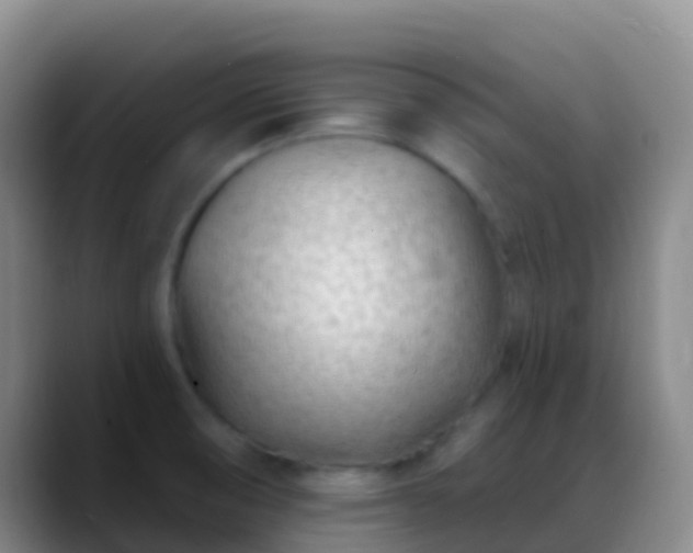 X0000088901474200706151839