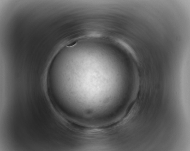 X0000088901475200706151839