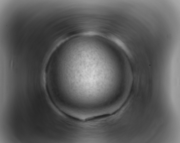 X0000088901476200706151839