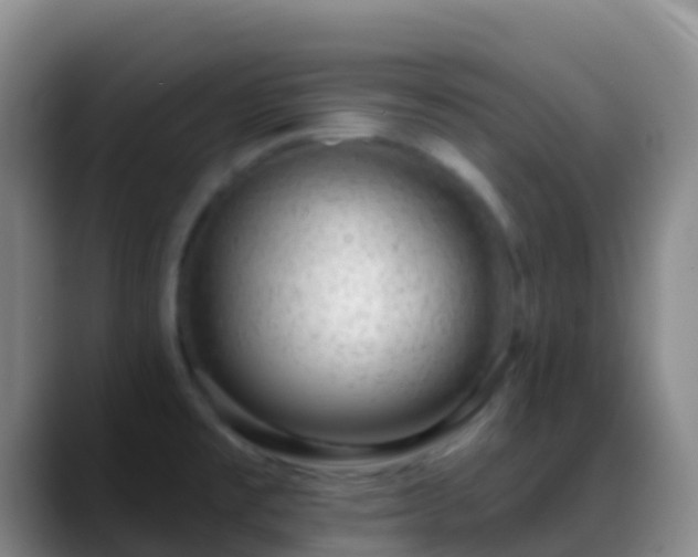 X0000088901477200706151839