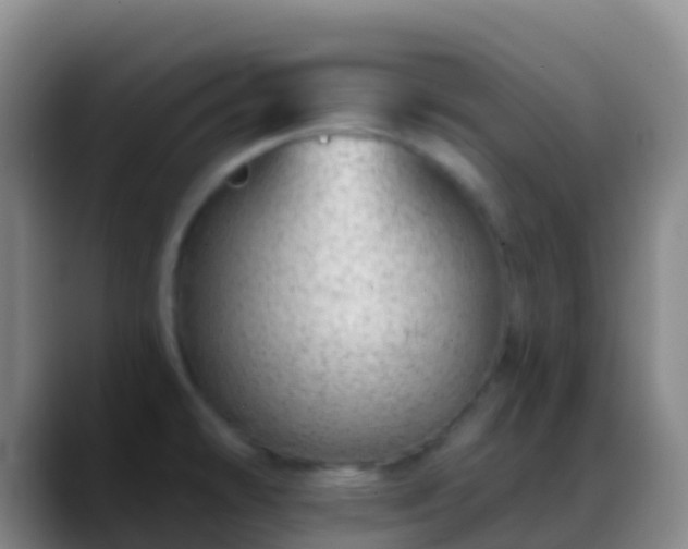 X0000088901478200706151838