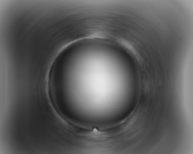 X0000088901479200706151838