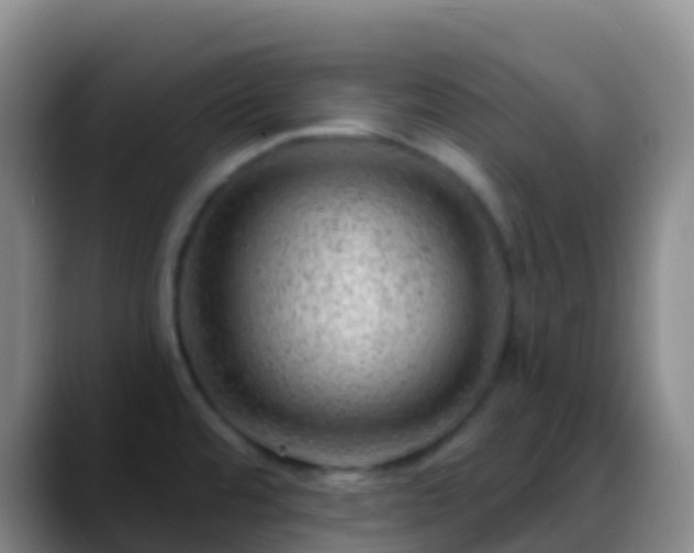 X0000088901480200706151838