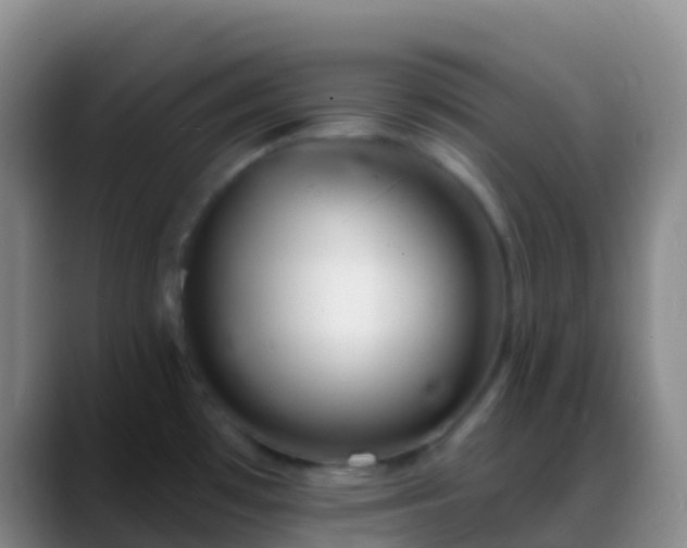 X0000088901481200706151838