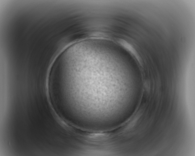 X0000088901482200706151838