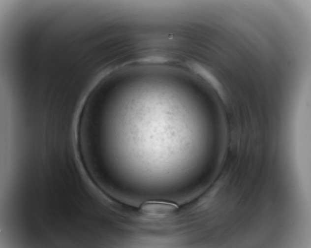 X0000088901483200706151838