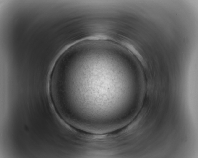 X0000088901484200706151838