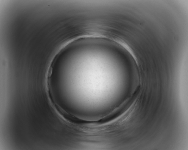 X0000088901485200706151838