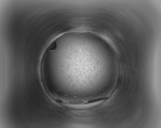 X0000088901486200706151838