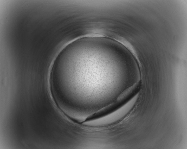 X0000088901488200706151838