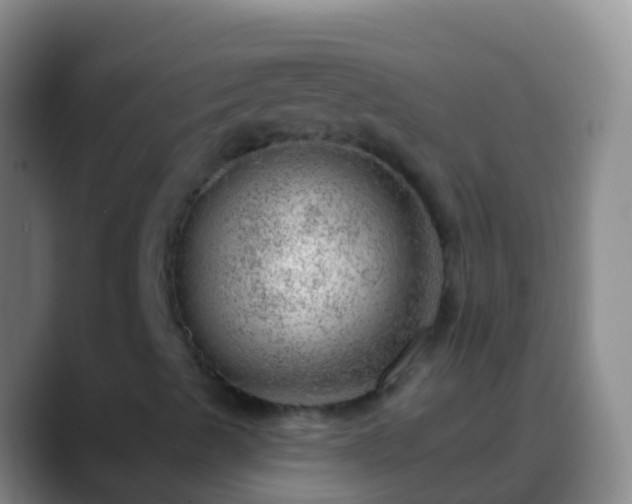 X0000088901489200706151838