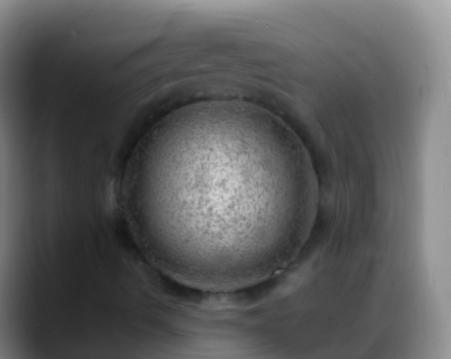 X0000088901490200706151838