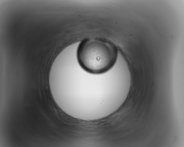 X0000088901492200706151838