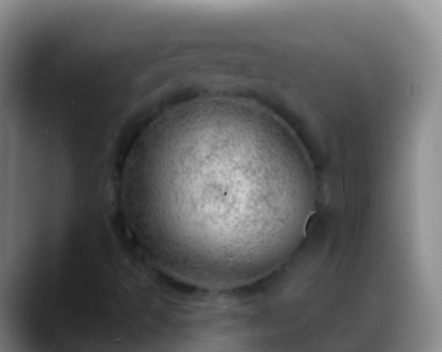 X0000088901493200706151838
