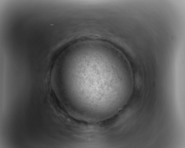 X0000088901494200706151838