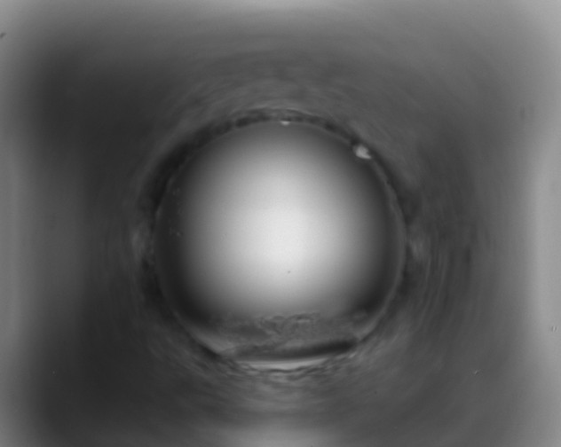 X0000088901495200706151838