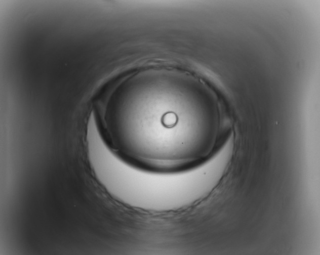 X0000088901496200706151838