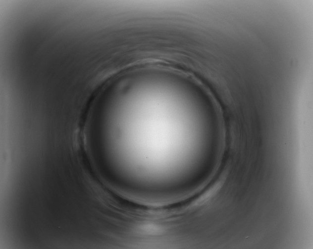 X0000088901497200706151838