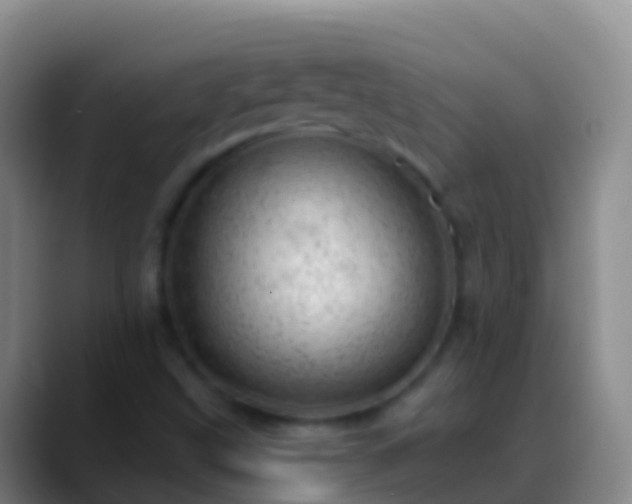 X0000088901499200706151838