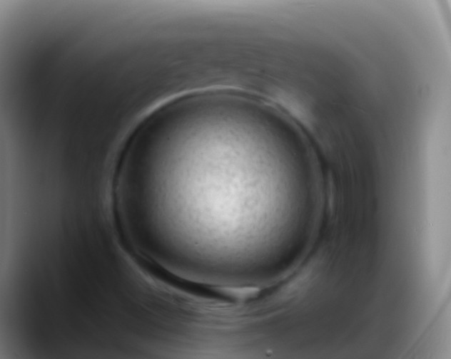 X0000088901500200706151838