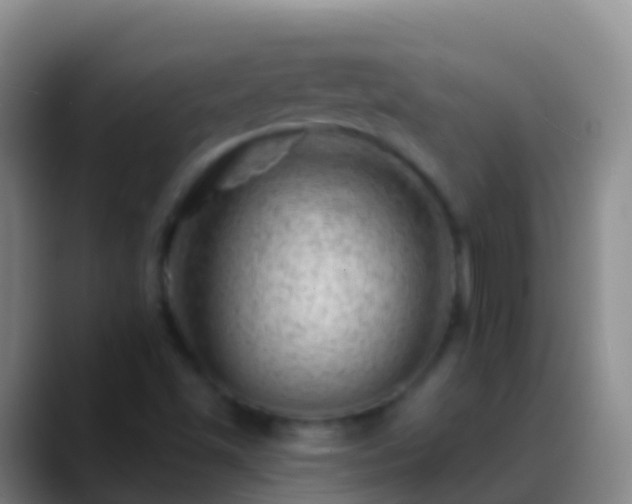 X0000088901501200706151838