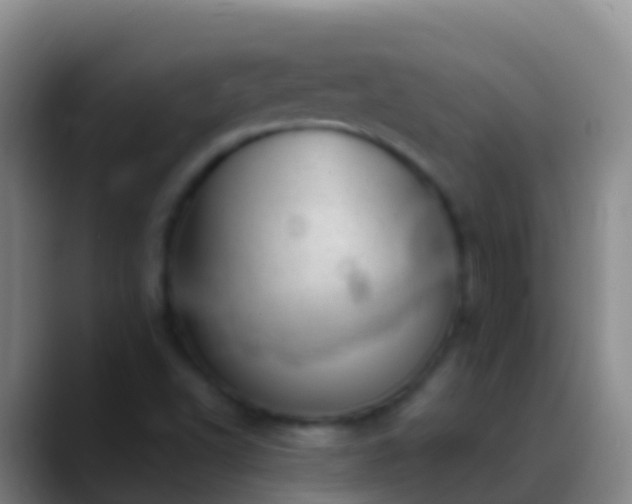 X0000088901502200706151838