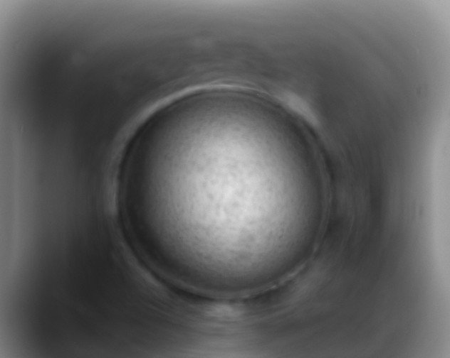 X0000088901504200706151838