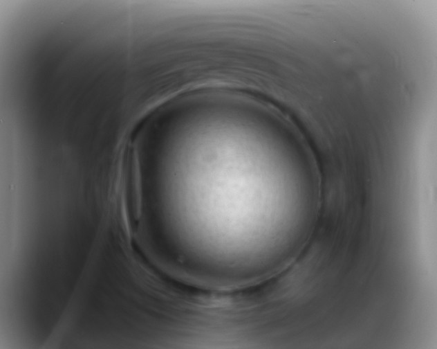 X0000088901505200706151838