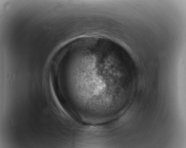 X0000088901506200706151838