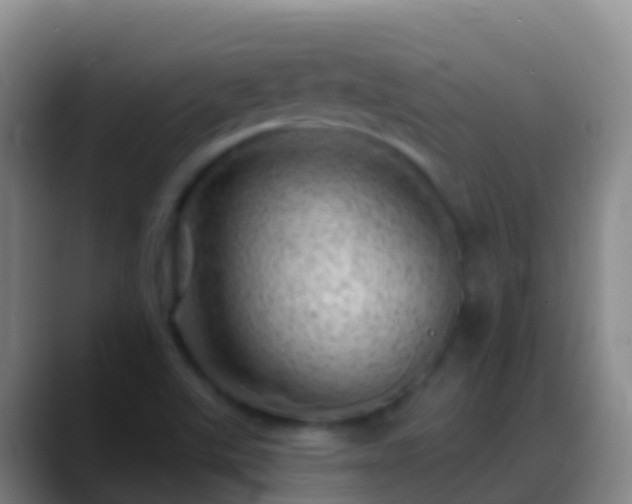 X0000088901507200706151838