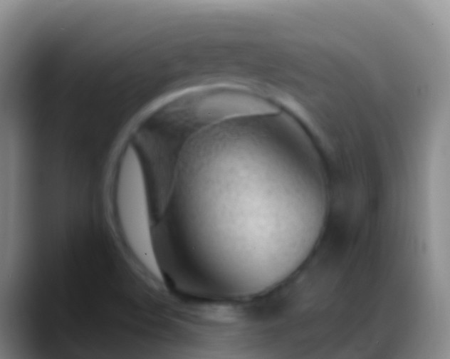 X0000088901508200706151838