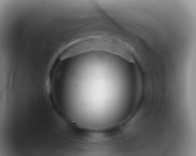 X0000088901509200706151838