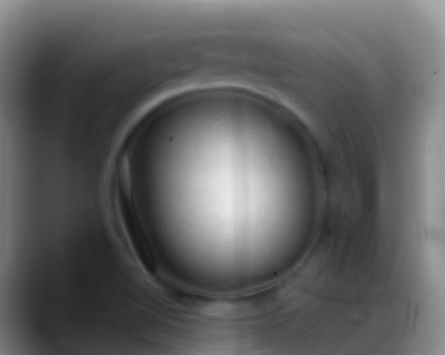 X0000088901510200706151838