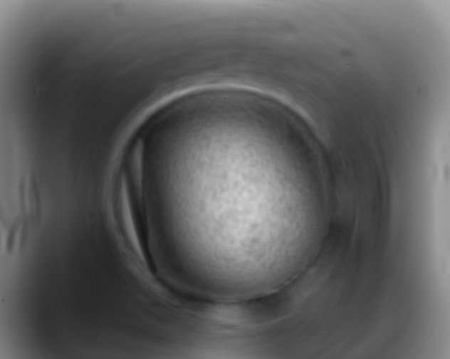 X0000088901511200706151838