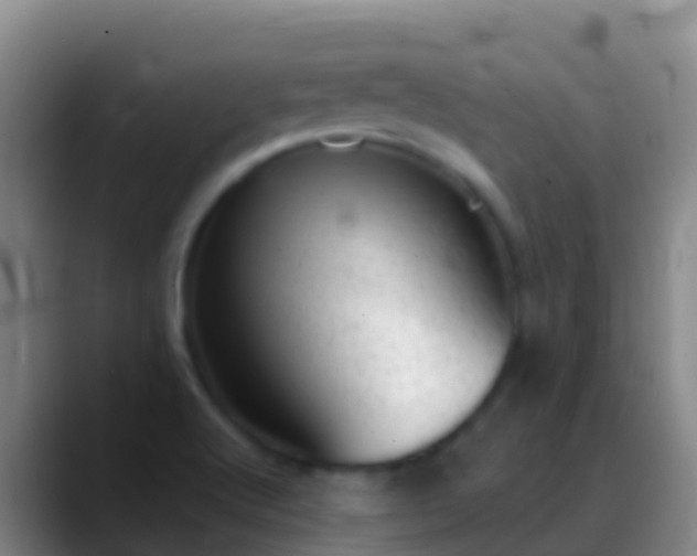 X0000088901512200706151838