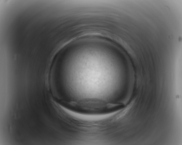 X0000088901513200706151838