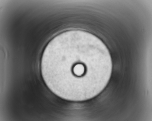 X0000088901514200706151838