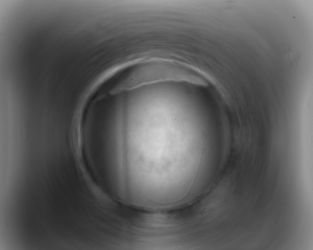 X0000088901515200706151838