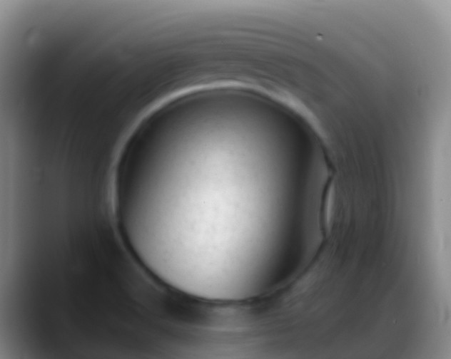 X0000088901516200706151838