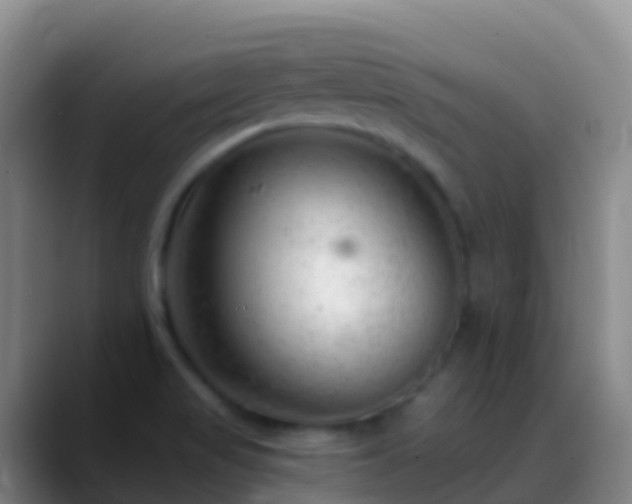 X0000088901517200706151838