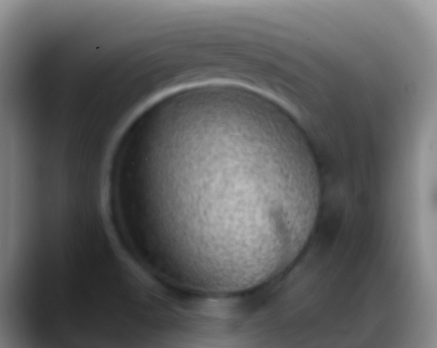 X0000088901518200706151838