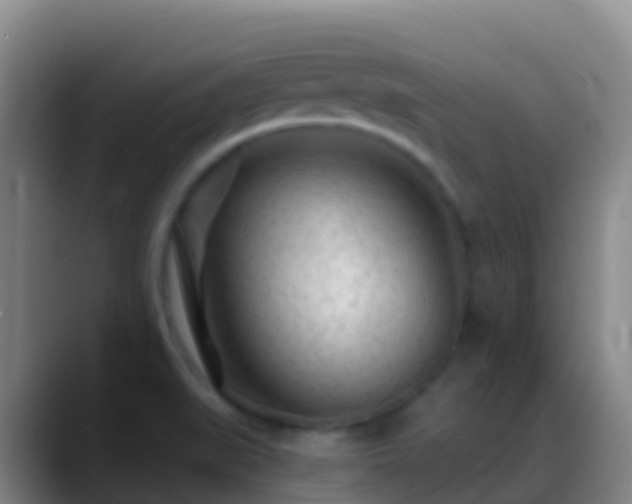 X0000088901519200706151838