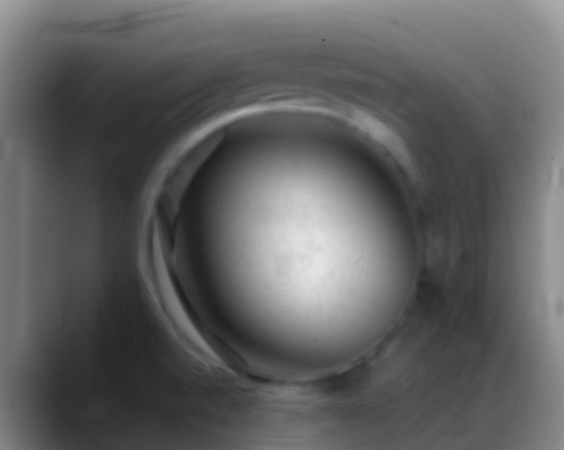 X0000088901520200706151838