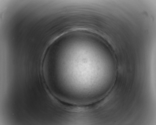 X0000088901521200706151838